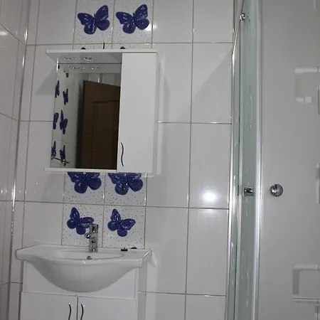 Hotel Emir Palas Hotel 2*